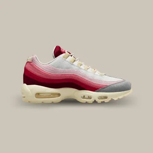 Nike Air Max 95 Anatomy of Air