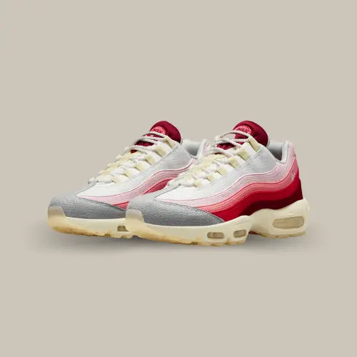Nike Air Max 95 Anatomy of Air