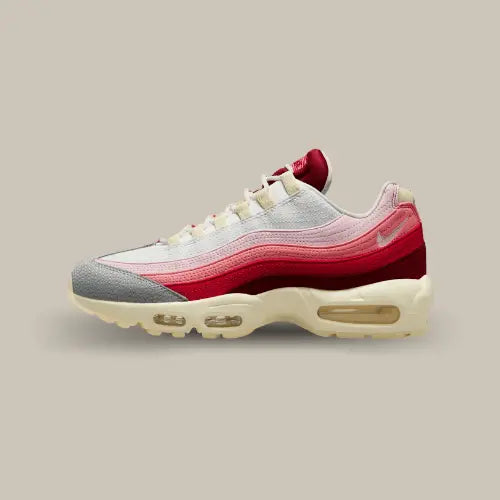 Nike Air Max 95 Anatomy of Air