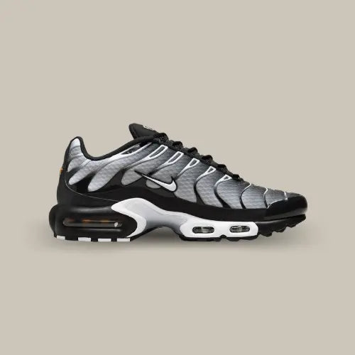 Nike Air Max Plus TN Schwarz Grau