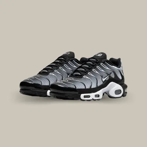 Nike Air Max Plus TN Schwarz Grau
