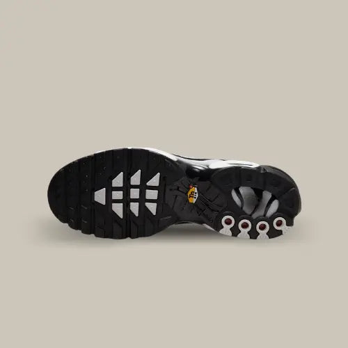Nike Air Max Plus TN Schwarz Grau