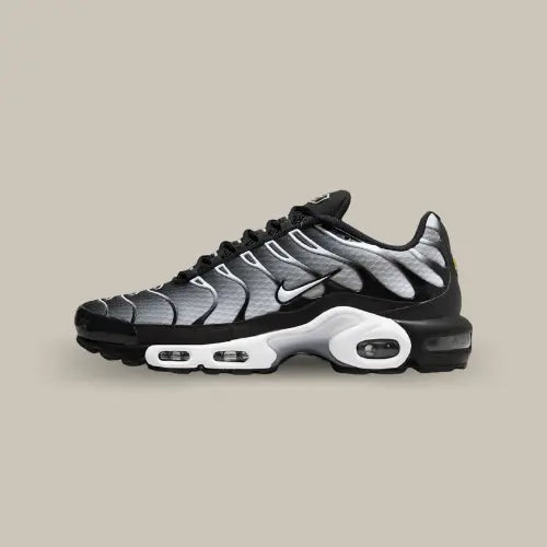 Nike Air Max Plus TN Schwarz Grau