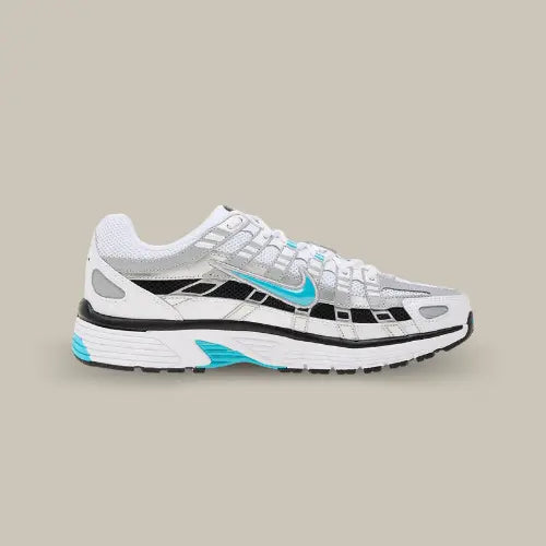 Nike P-6000 Dusty Cactus