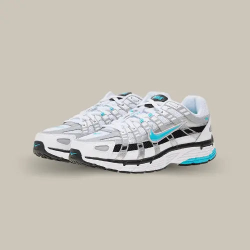 Nike P-6000 Dusty Cactus