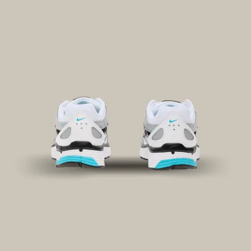 Nike P-6000 Dusty Cactus