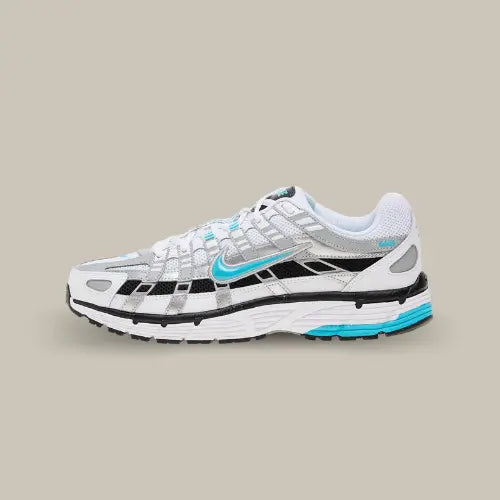 Nike P-6000 Dusty Cactus