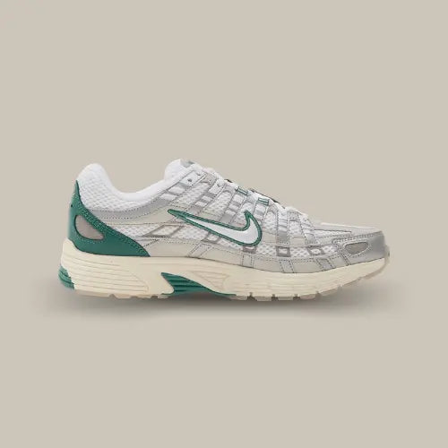 Nike P-6000 Light Bone